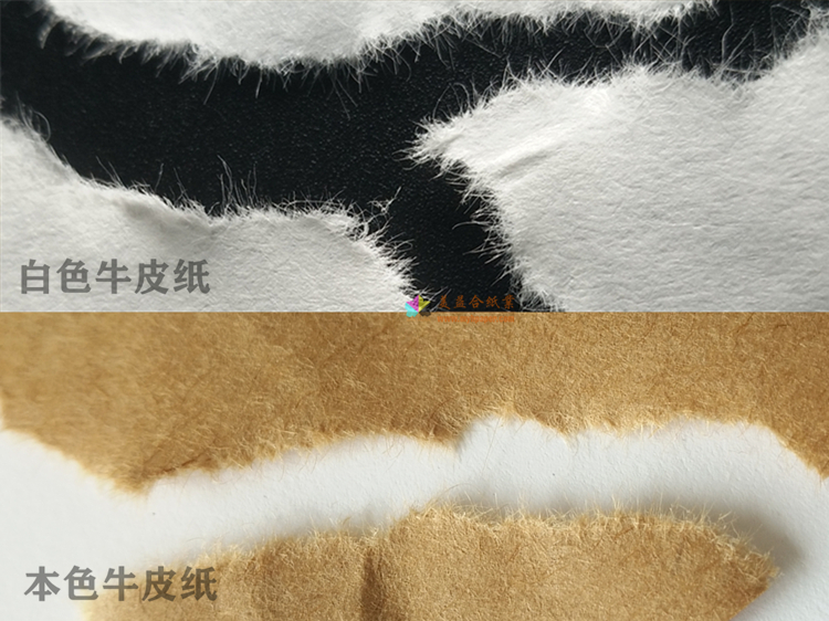 白色牛皮纸与本色牛皮纸纤维图.jpg